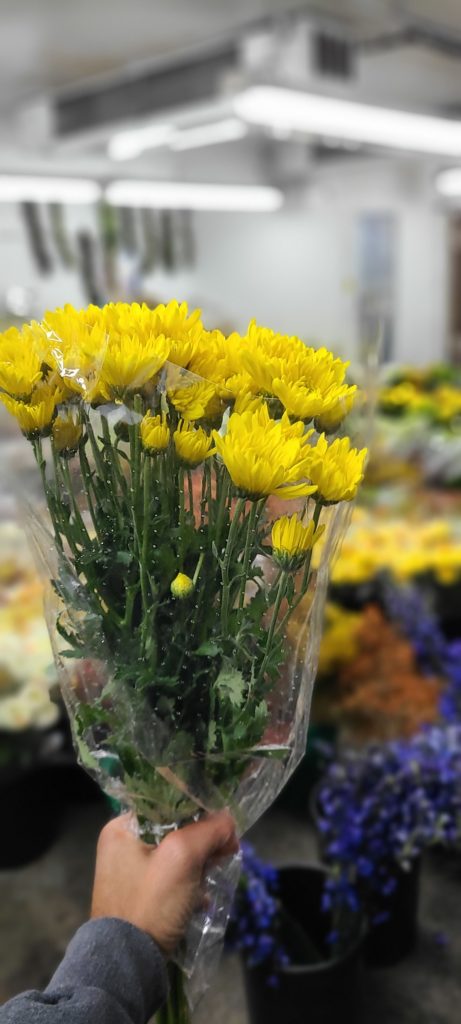 Care And Handling Berkeley Florist Supply