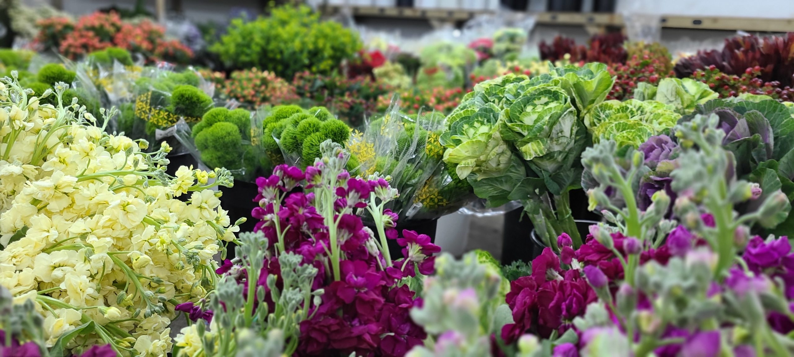 Berkeley Florist Supply, Wholesale Flowers