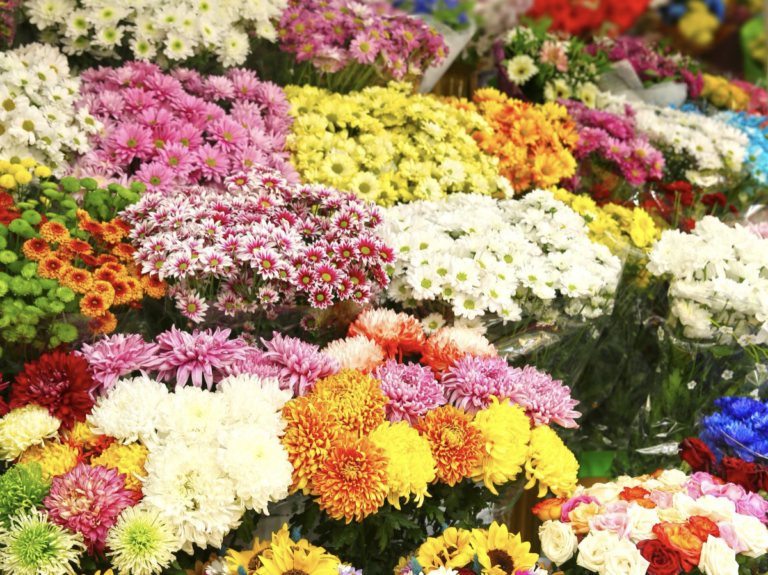 How to Choose the Best Flower Wholesalers Berkeley Florist Supply