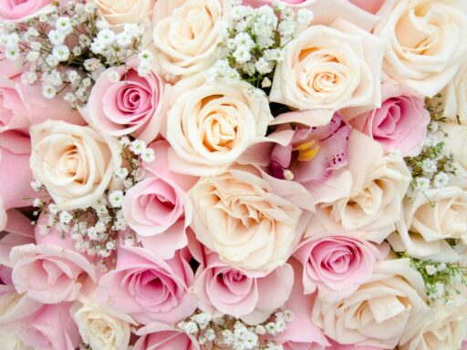 Best Valentine's Day Floral Trends for 2023 - Berkeley Florist Supply