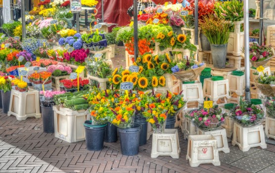 How Flower Distributors Ensure Freshness and Quality: 5 Helpful Ideas